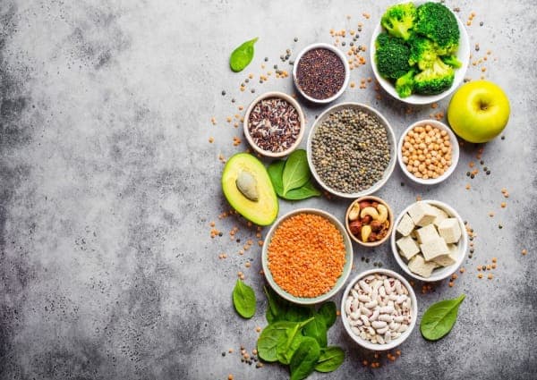 Nutrition & Body Composition